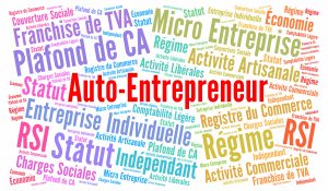 auto-entrepreneur