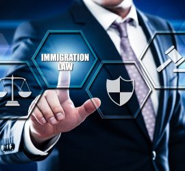 French immigration law