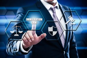 immigration lawyer